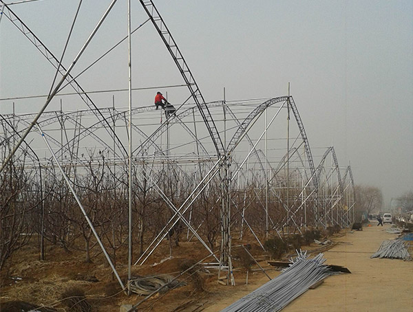 大棚-果树大棚-青州市昊阳温室工程有限公司 _ 温室设计,建设,施工